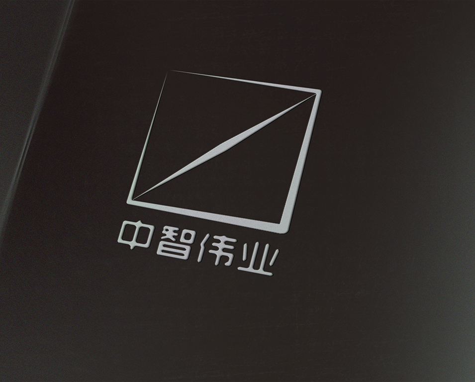 中智伟业2